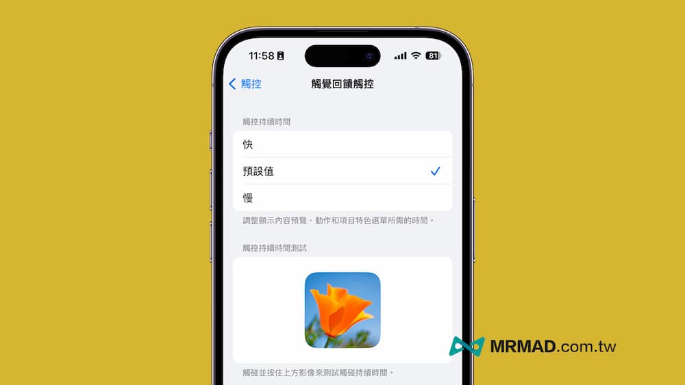 iPhone触觉回馈怎么开？如何调整Haptic Touch设置与持续时间